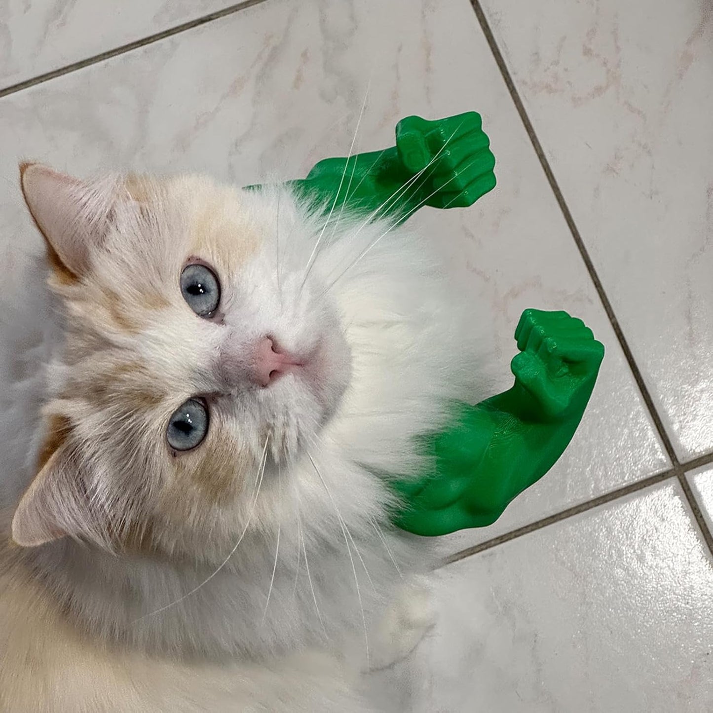 Muscle Cat Arms – 3D Printed Cosplay Costume for Cats