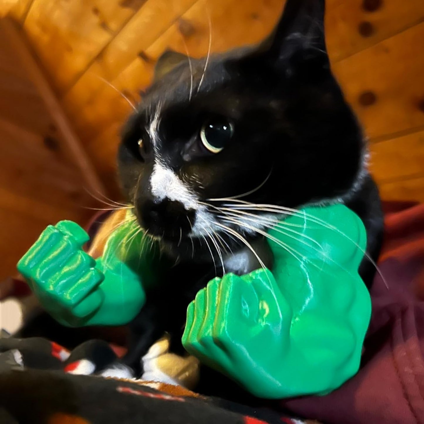 Muscle Cat Arms – 3D Printed Cosplay Costume for Cats