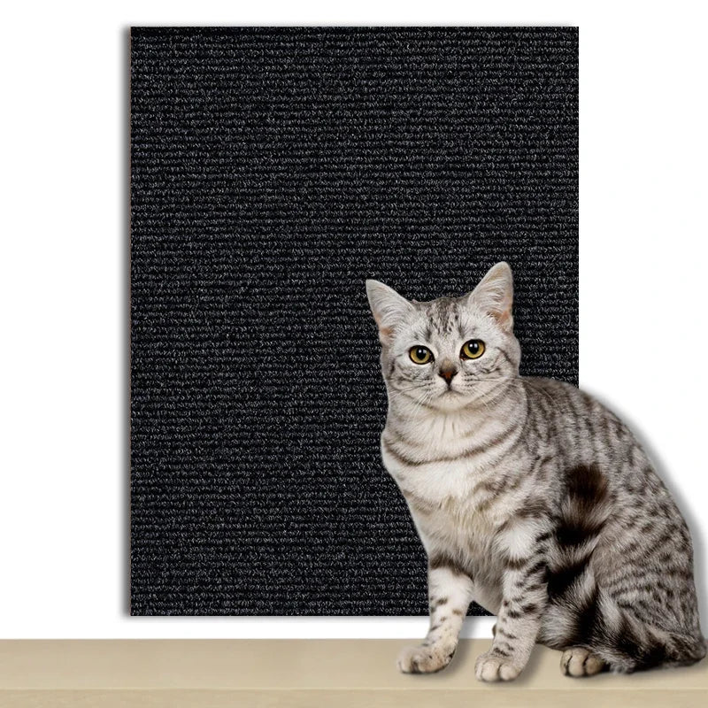 Cat Scratch Wall Protector