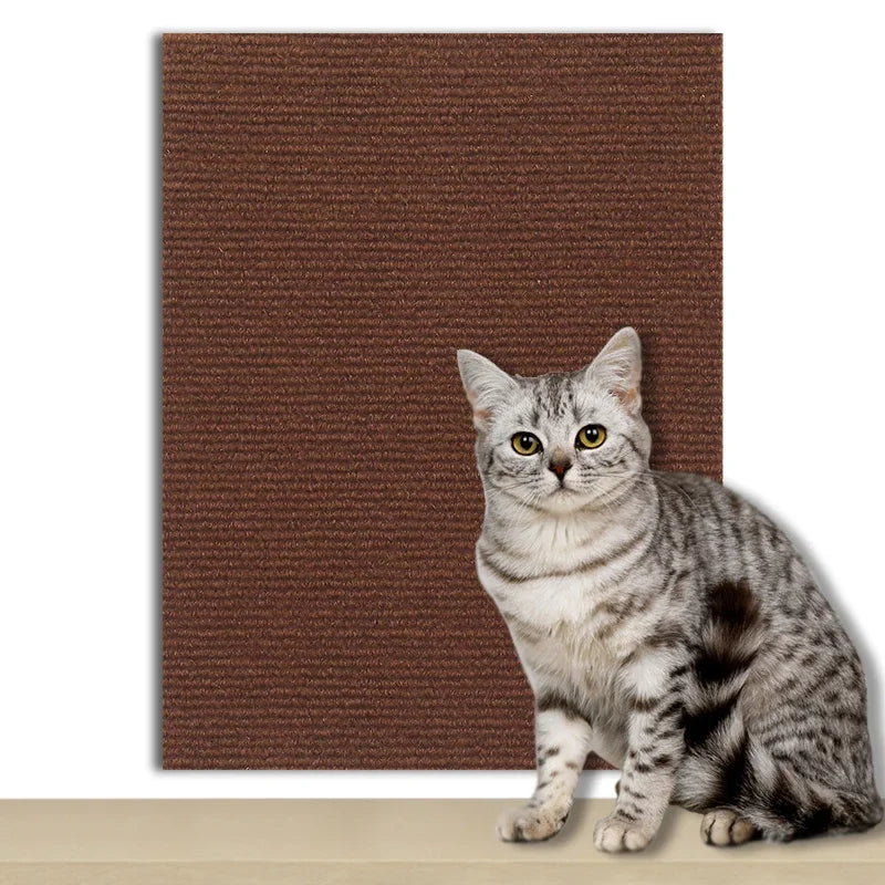 Cat Scratch Wall Protector